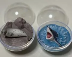 海洋生物2 カプリウム　セット