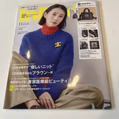 インレッド ２０２５年１１月号(雑誌のみ)