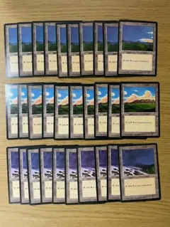 アイスエイジの平地/Plains 英語絵柄別30枚セット ICE 土地