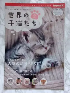 世界の子猫たち　42品種 　写真集　癒し