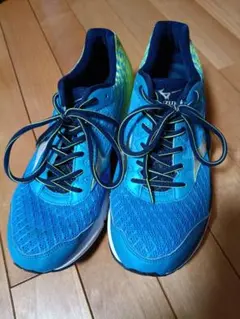 [27.0cm]MIZUNO WAVE RIDER 19