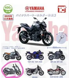 YAMAHA バイククラバーホルダーのサムネイル