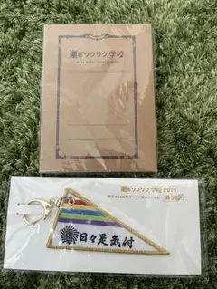 Item thumbnail for item 7d52fdb2-ecd8-4a3a-b88b-1cb1d621422e