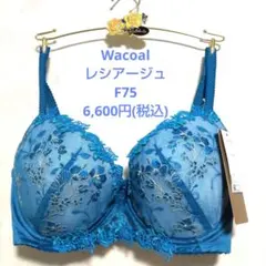 F75♥ワコール♥レシアージュ 　胸ふっくらやさしくフィットブラジャー単品のサムネイル