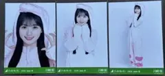 乃木坂46 生写真 川崎桜 福井県ver.コーデ 3種コンプ - メルカリ