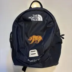 THE NORTH FACE HOMESLICE