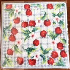 【FEILER】フェイラー ハンカチ 25×25 チェリーピクニック新品・未使用