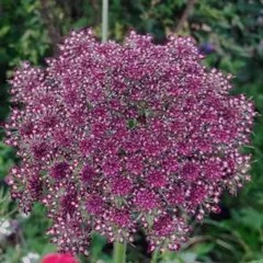 Dゆきえ様 リクエスト 2点 まとめ商品