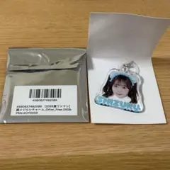 Pixel Ribbon葉山雫 アクキー - メルカリ
