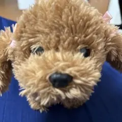 Item thumbnail for item ed3ff576-0905-4213-85fc-87ee409354c1