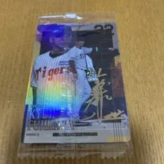 阪神タイガース 選手カード 全24枚