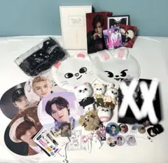 2026年最新】straykids ペンライト リノの人気アイテム - メルカリ