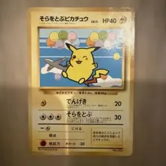 そらをとぶピカチュウ_ANA 「ジェットでゲットだ！Wチャンス