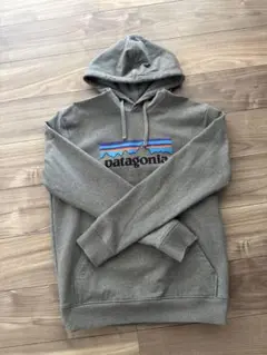 Patagonia グレー フード付きパーカー