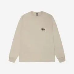 ステューシー　ロンT