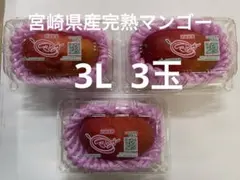 鹿児島県産 ご家庭用完熟マンゴー 2L 3玉 b - メルカリ