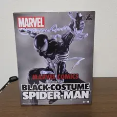 MARVEL BLACK-COSTUME SPIDER-MAN