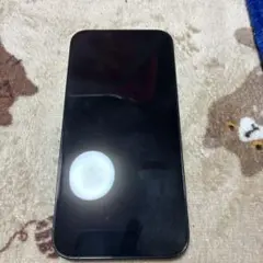 Apple iPhone 13 Pro グラファイト