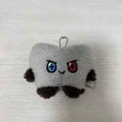 TREASURE ジュンギュ　TRUZ たっとん　BONBON