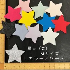 本革　星（C）　Mサイズ　アソート・カラーミックス　１２枚セット