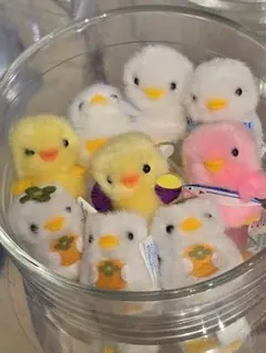 ひよこのおかげ　ぴよりーな　ぴより〜な　秋 さんま 柿 さつまいも