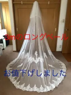 Item thumbnail for item 7a8d2f33-8dc1-4364-96bf-867e3bac12c2