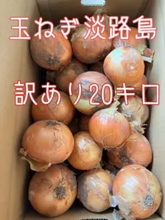 玉ねぎ淡路島　訳あり２０キロのサムネイル