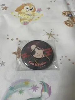 WIND BREAKER ラメキラカンバッジコレクション 蘇枋 隼飛 缶バッジ