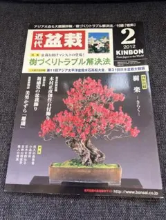 現代盆栽技術の真髄 PART II 木村正彦の世界 現代盆栽技術の真髄 PART II 木村正彦の世界 現代盆栽技術の真髄