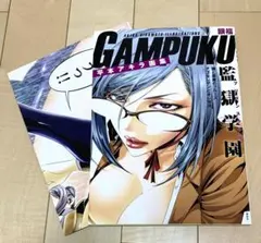 【初版未読/帯付】平本アキラ画集 GAMPUKU 眼福 ポスター・特典ペーパー付 初版未読/帯付】平本アキラ画集 GAMPUKU 眼福 ポスター・特典ペーパー