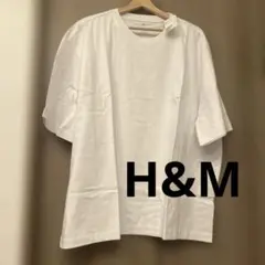 Item thumbnail for item 926b43f3-1b83-46be-a56a-8bb629d92e41