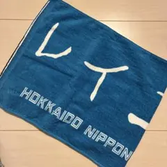 選手直筆応援タオル　　フランミル・レイエスのサムネイル