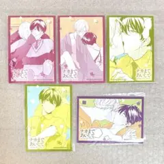 百瀬あん ナカまであいして くじメイト ブロマイド 5枚