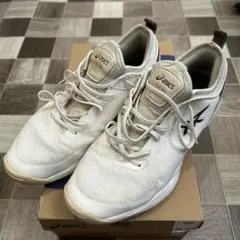 ASICS GLIDE NOVA FF 2 28.0cm 箱付き　バッシュ