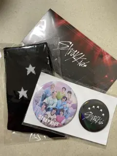 stray kids ドームツアーグッズ　アプグレ