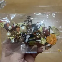 kaza ヘアクリップ
