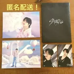 straykids スキズ 5-STARラントレ　ステッカーセット　アイエン