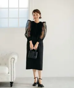 Re.Verofonnaヴェロフォンナ アキロンコラボドットオーガンジードレス