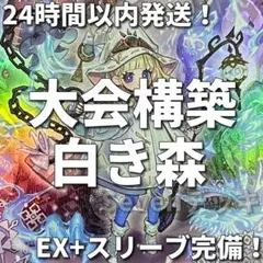 002 遊戯王 遊戯王 魔妖 まやかし 本格構築済みデッキ - メルカリ