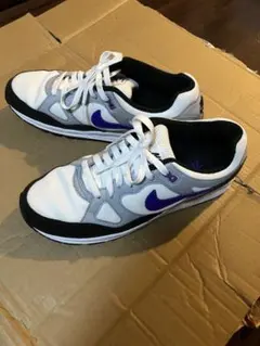 Nike Air Span II ホワイト/グレー/パープル