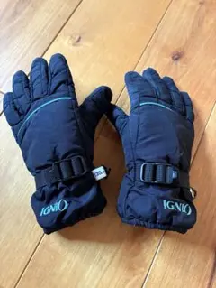 スキーグローブ