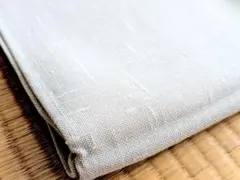 Item thumbnail for item 971e1cb6-4917-4b4d-832f-39874ad01ac3