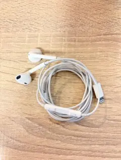 Lightning接続 有線イヤホン R/L表示