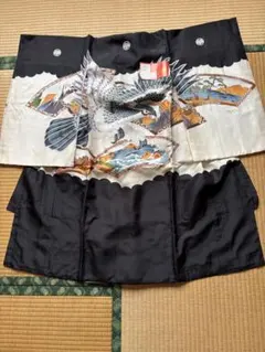 Item thumbnail for item f675d117-3e44-4b04-9b67-1964f0991296