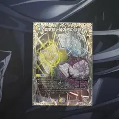 2026年最新】パーフェクトペテンシーの人気アイテム - メルカリ