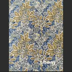 Item thumbnail for item f04bc3aa-2815-4dca-9b0f-d40a489d8534