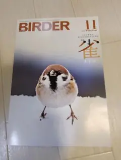 BIRDER2025.11最新号！