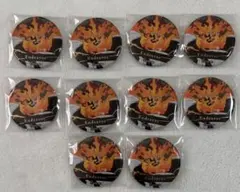 ヒロアカ 缶バッジ エンデヴァー 10点