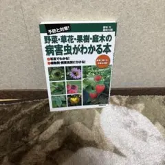 Item thumbnail for item 4bee328a-73aa-4889-b6ab-735521085b8a