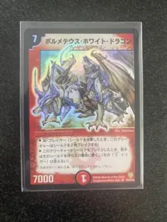 2026年最新】ボルメテウスホワイトドラゴンの人気アイテム - メルカリ